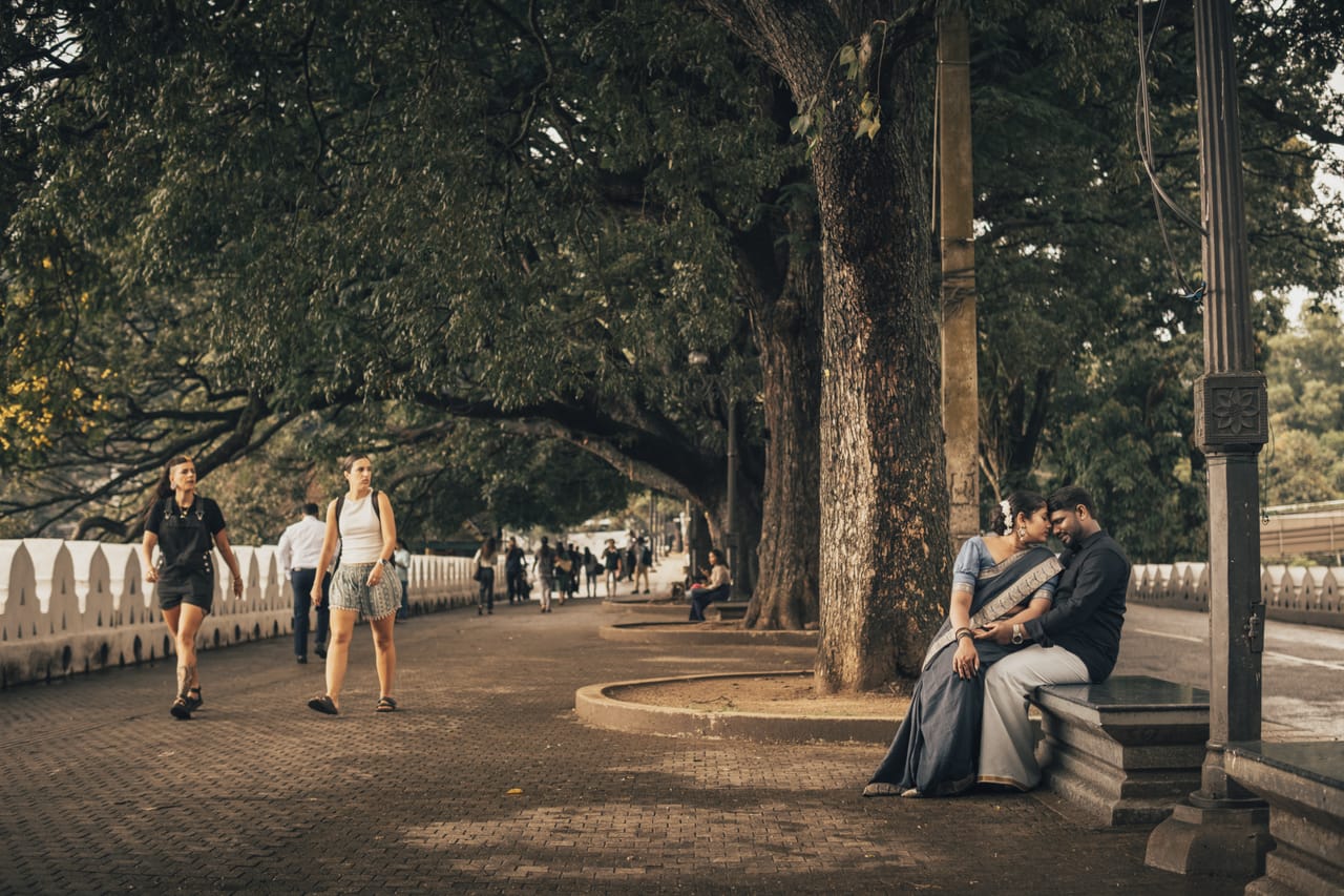 A couple sitting together on a bench beneath tall rain trees in Kandy