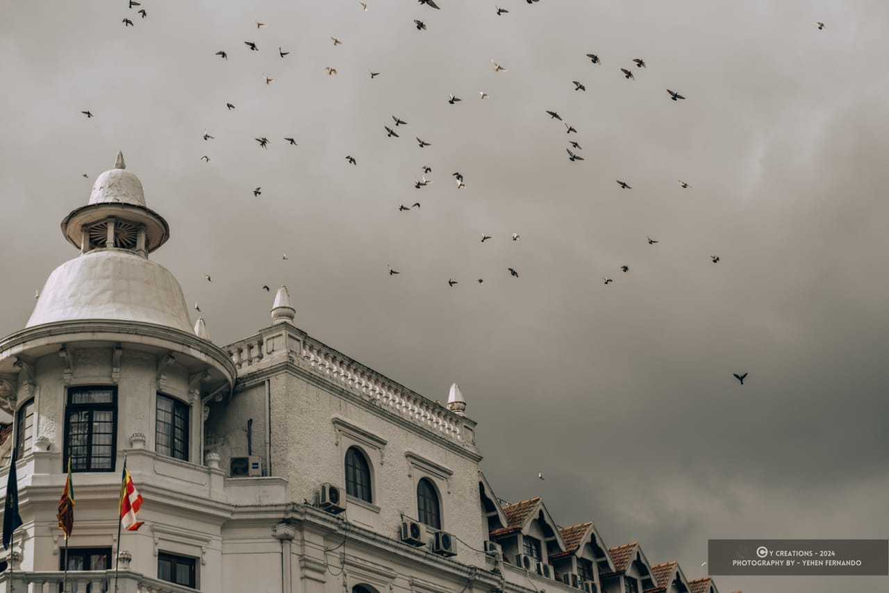 Birds circling above the rooftops and colonial towers of Kandy under a grey sky